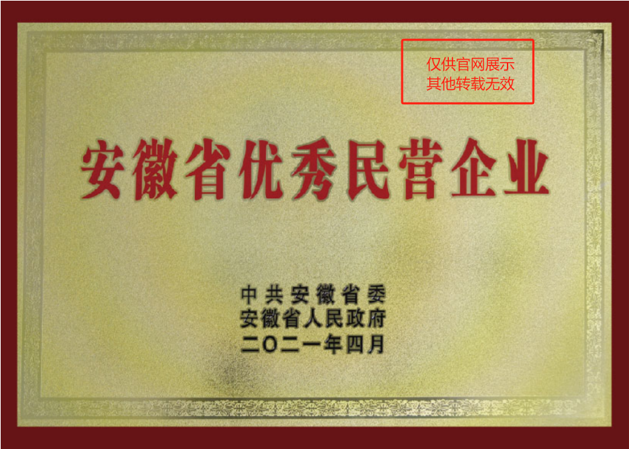 安徽优异民营企业